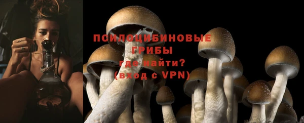 сатива Балабаново