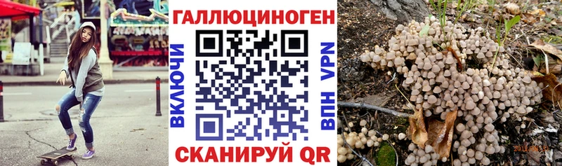 Псилоцибиновые грибы мухоморы Котовск