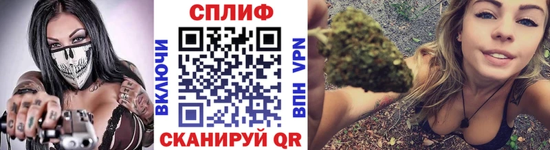 Бошки марихуана планчик  купить наркотики сайты  Котовск 